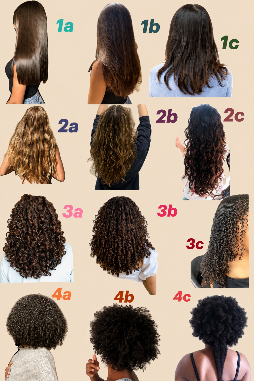 Hair type chart showing 1A through 4C patterns